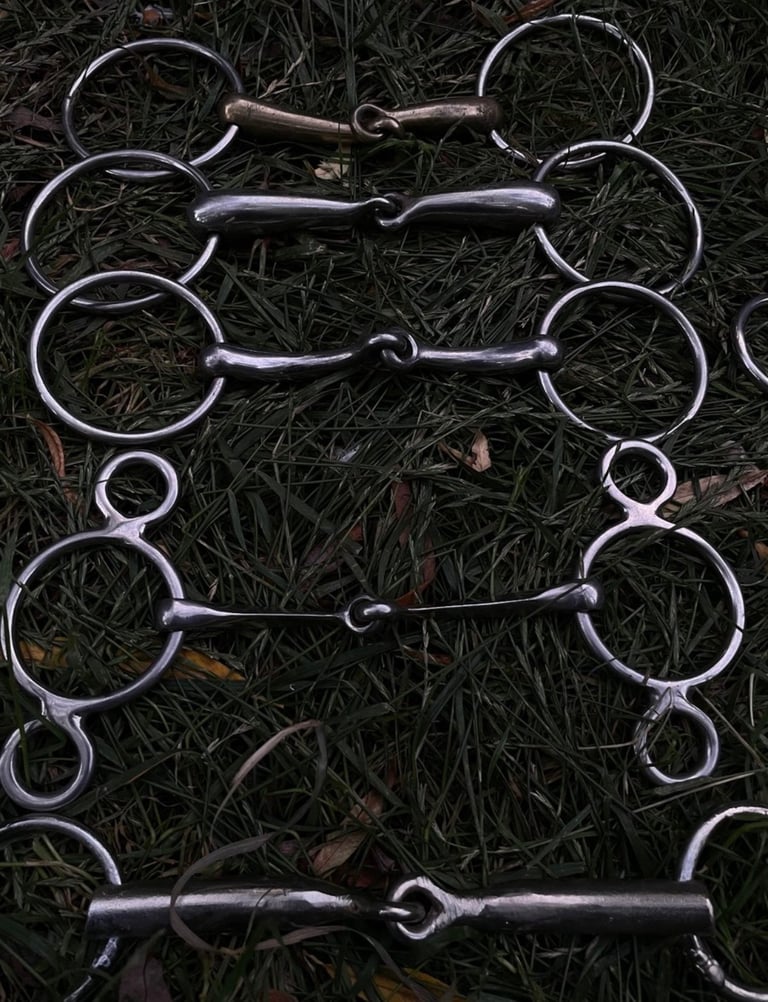 7 DIFFERENT HORSE BITS