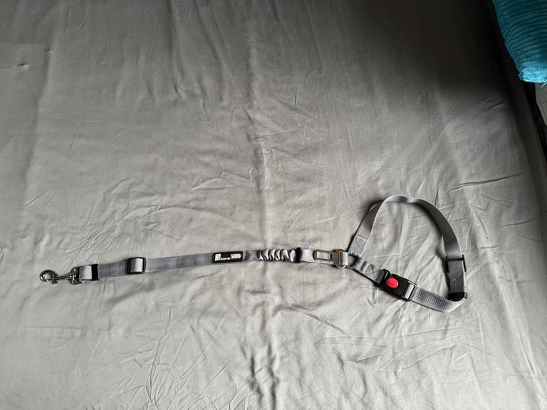 image for Dog car seat belt