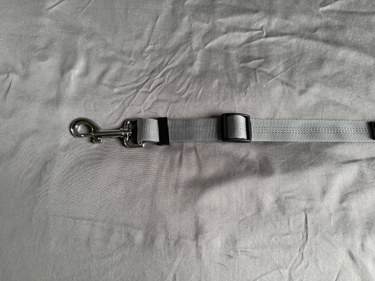Dog car seat belt