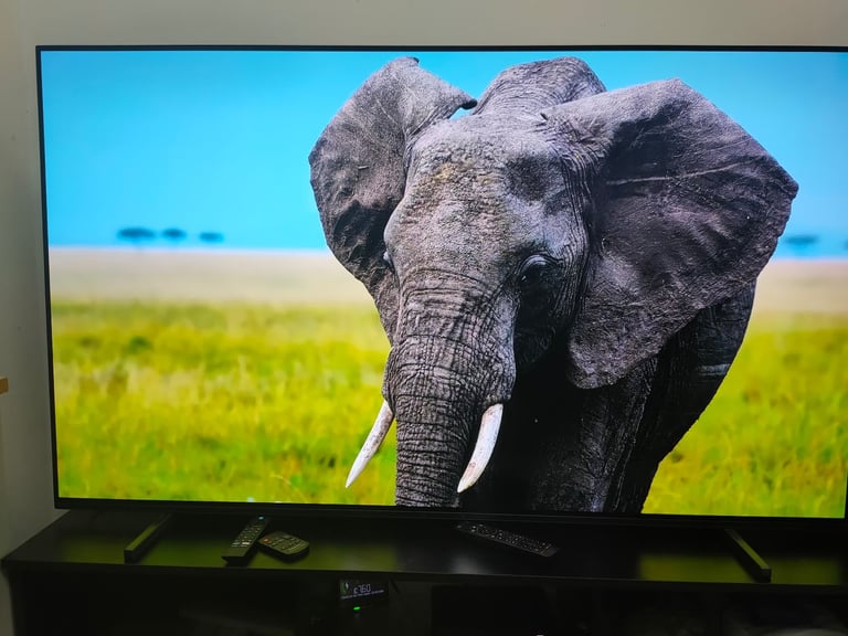 Sony 65 inch oled tv 