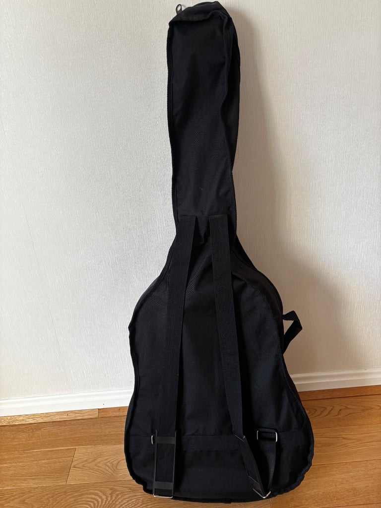 Acoustic Steel string guitar 