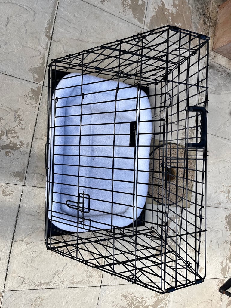 Dog carrier 