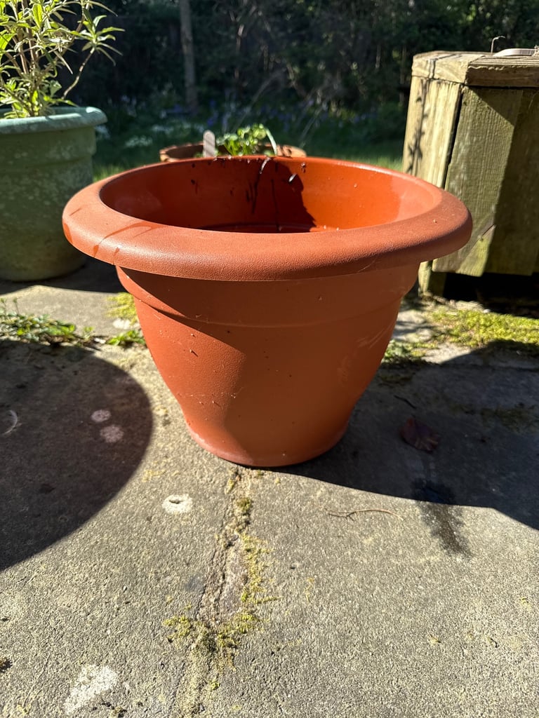 image for Medium size plastic pot