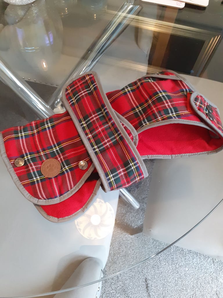 Puppy Tartan dog bed and coat £15