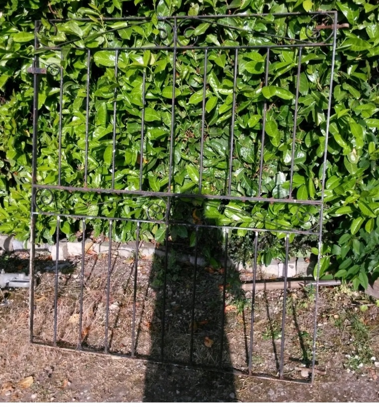 image for Single gate...4ft 6ins w x 61in h