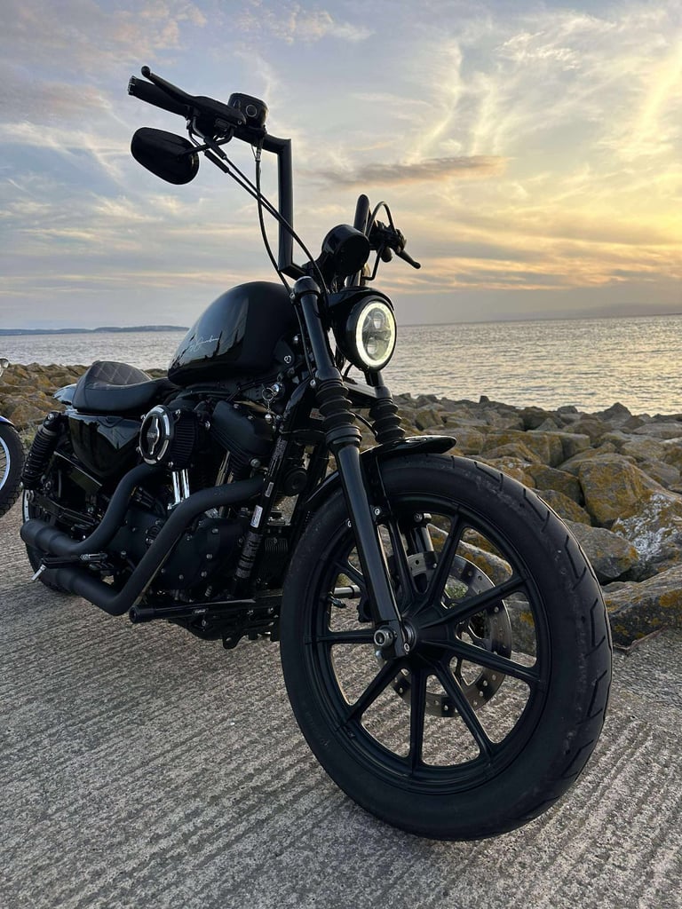 Harley-Davidson 1200 xl sportster