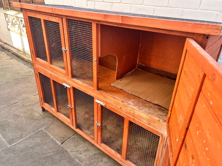 Rabbits and hutch 