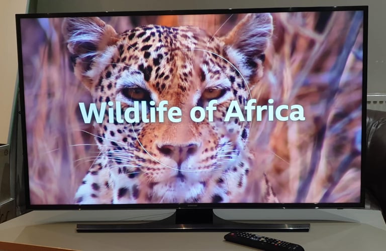 Samsung 48” 4K smart tv