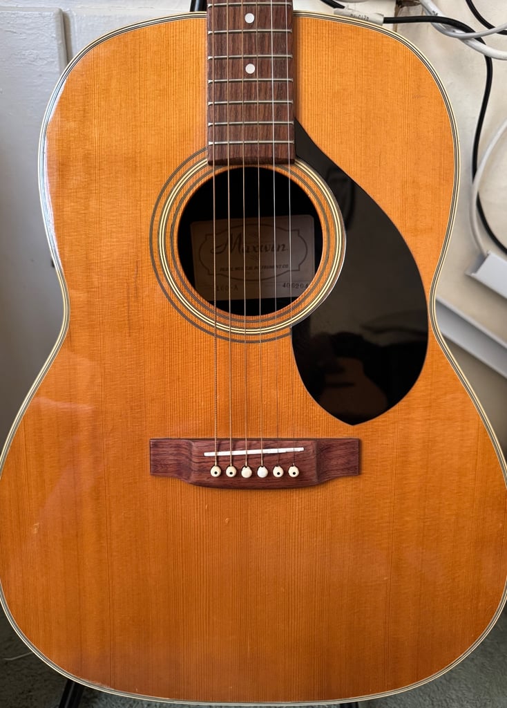 Rare Maxwin Bowlback Acoustic Made in Japan 