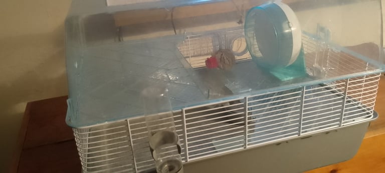 image for Hamster cadge