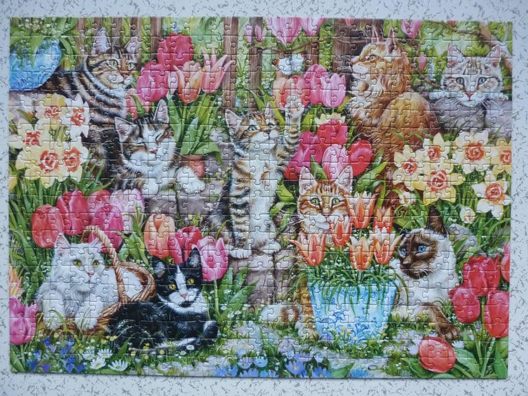 500 PIECE JIGSAW PUZZLES