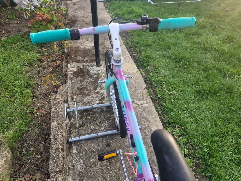 GIRLS TEENAGER YOUTH RALEIGH 24 INCH WHEELS 15 INCH FRAME 5 SPEED BIKE BICYCLE