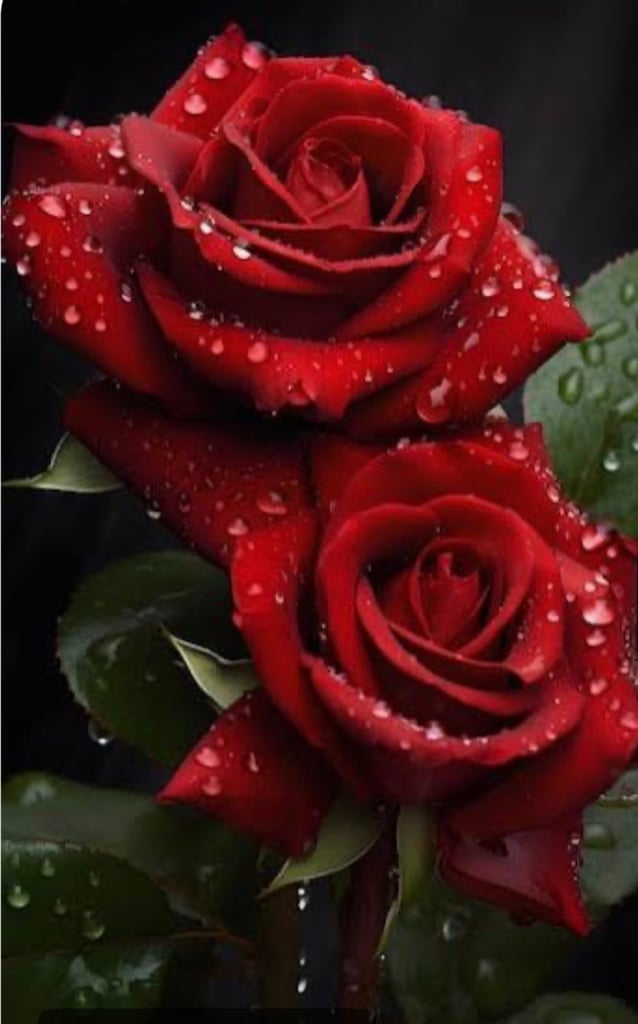 Mobile Full Body Massage 