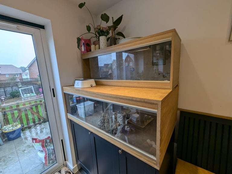 Huge custom reptile vivarium large enclosure 