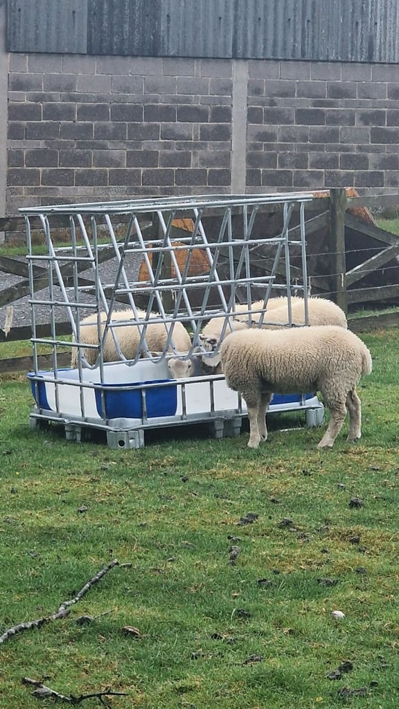 Hay Feeder