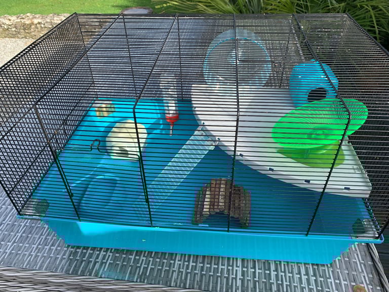 Hamster Cage