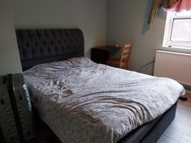 Beautiful double room to rent 