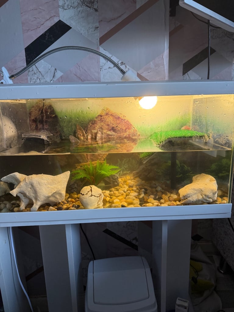 58 Litre Aquarium