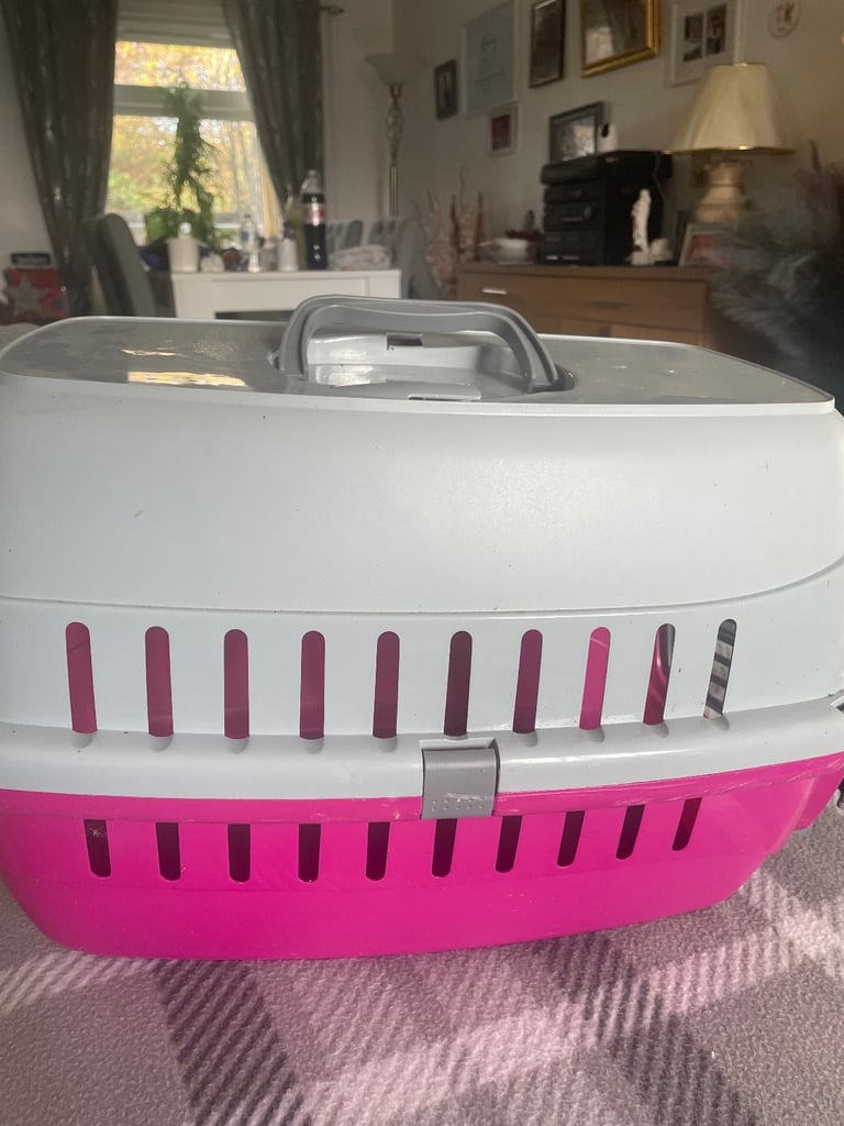 Small pet carrier