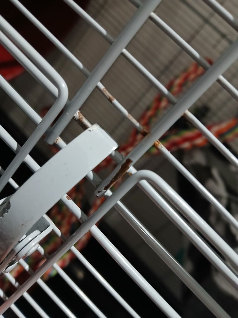 Savic Zeno 3 Empire cage 