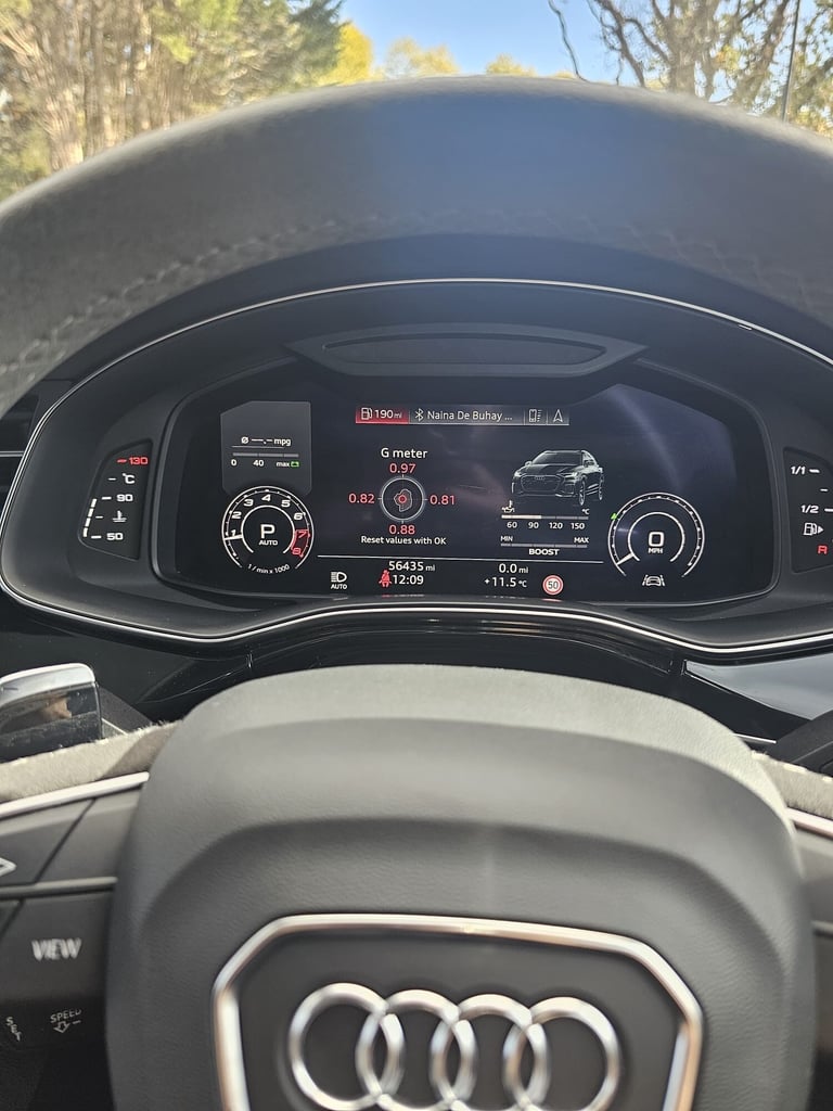 AUDI RSQ8 TFSI QUATTRO VORSPRUNG 