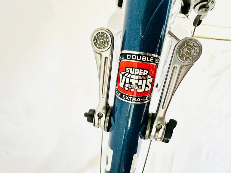 Ff  Pigeon VITUS Size/58 spDDd9a Original Spec Simplex Road Bike