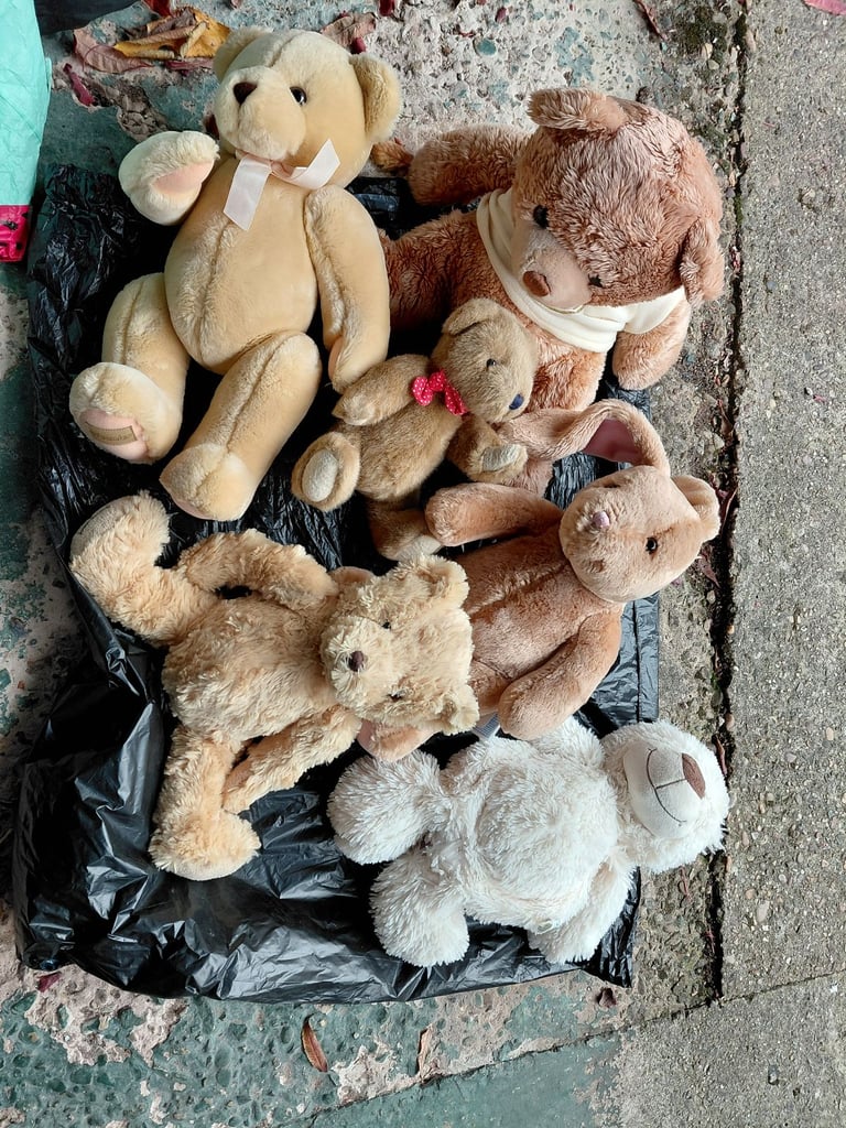 Teddies