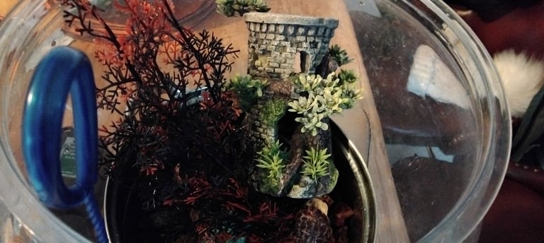 Biord Aquariam  / Fish Tank + Accessories. 