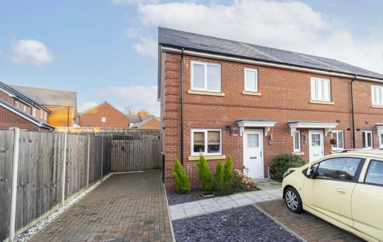 Single room in a 3 bed property for rent