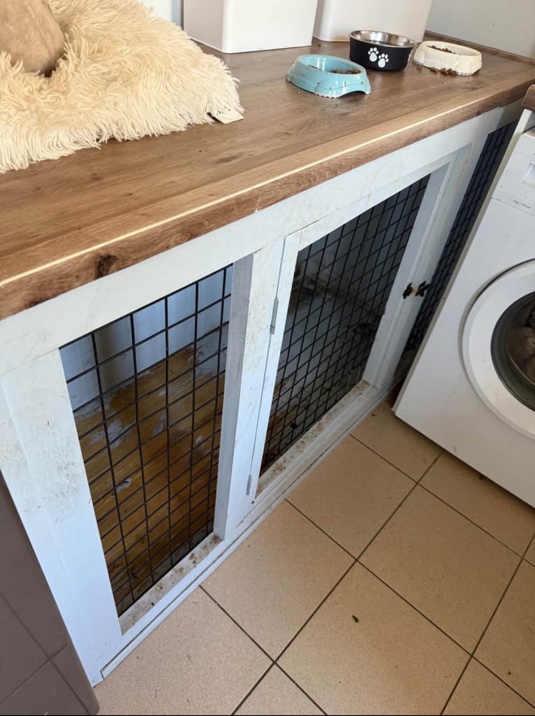 Dog crate/kennel