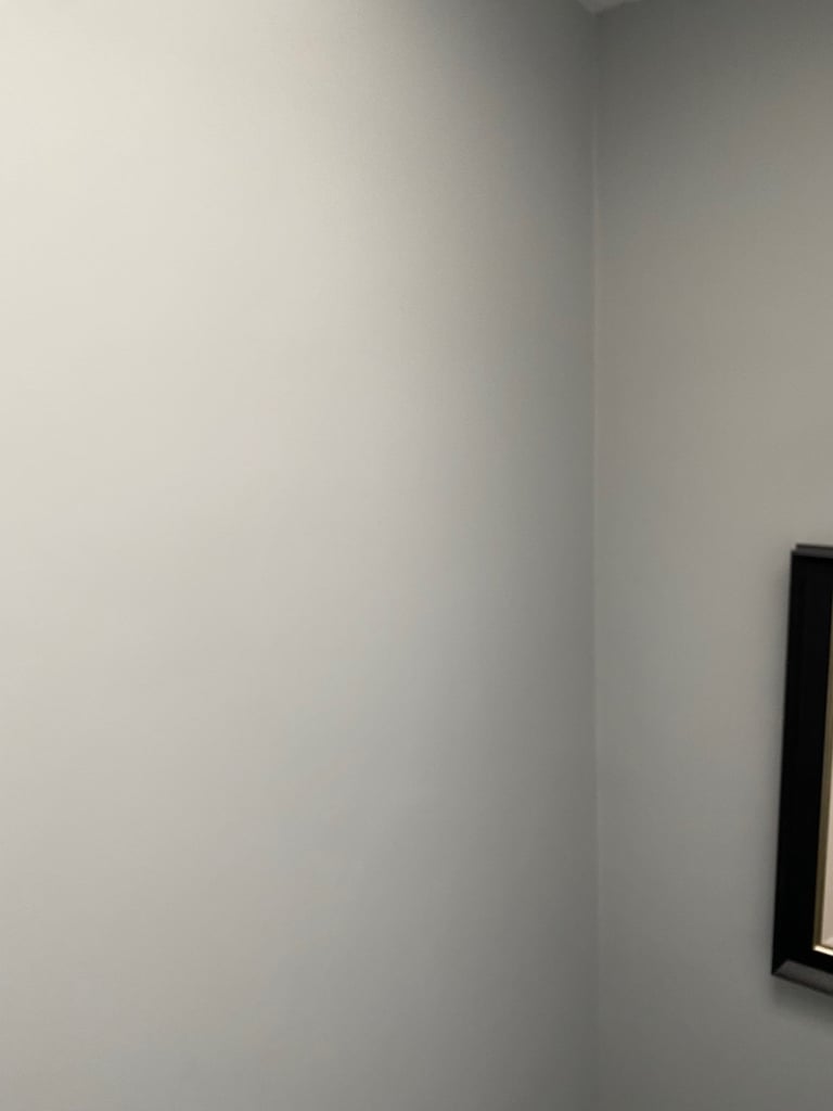 Dulux Diamond  Wall / Ceiling Paint 10L ++