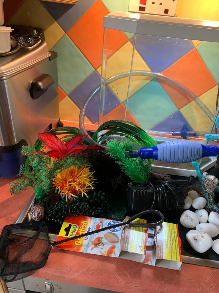 Fishtank and accessories 