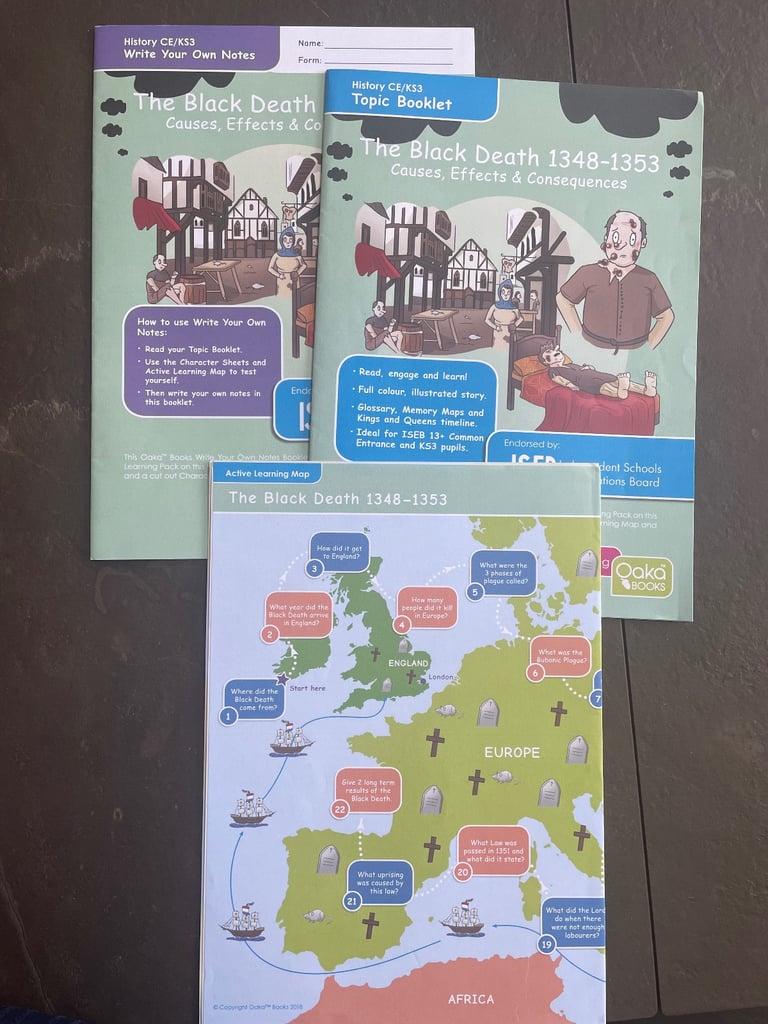 24 x Oaka Books Booklets KS3 History Bundle Common Entrance KS3 SEN - 9 Topics