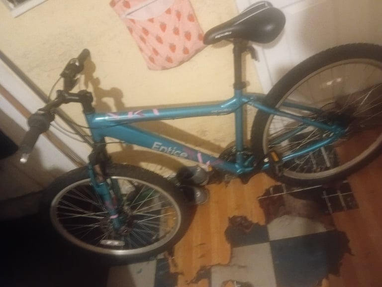 image for Apolla bije