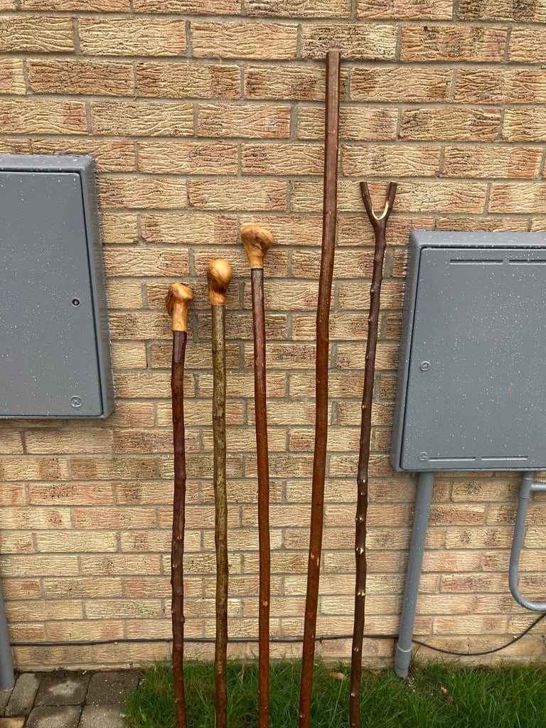 Hiking sticks 