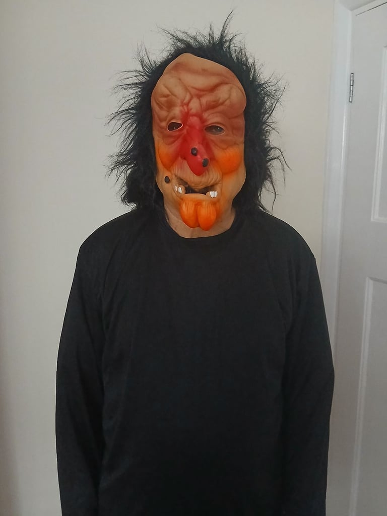 Halloween fancy dress masks