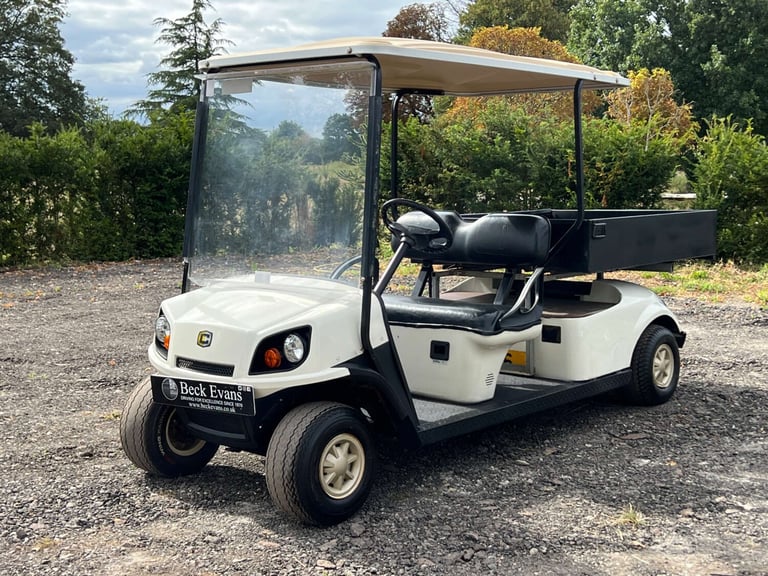2016 CUSHMAN BUGGY 2 seat pick up buggy Unlisted Electric Automatic