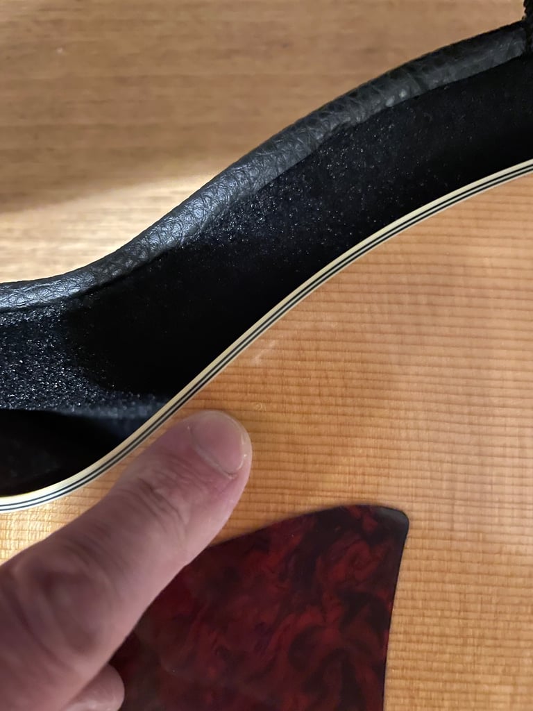 Vintage 12 string V1700-N12