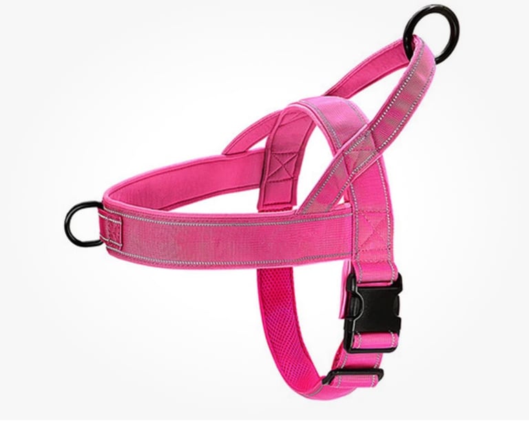 Brand New Dog Harness Strong Anti Pull Size S Manchester