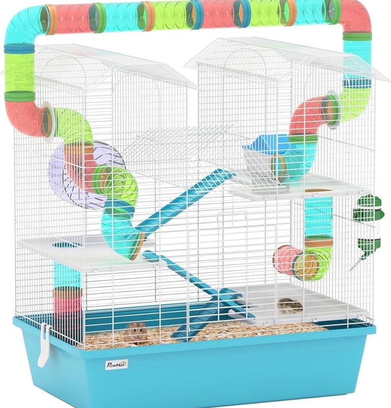 Russian Dwarf Hamster 🐹 4m + Cage & accessories 