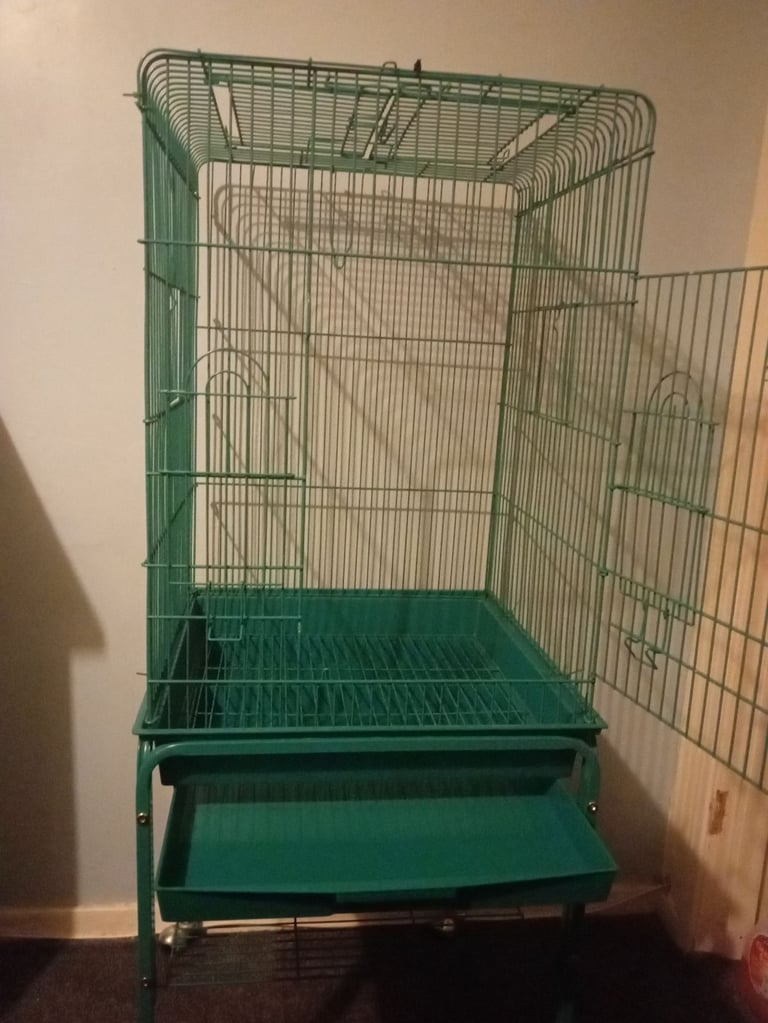 Bird cage 