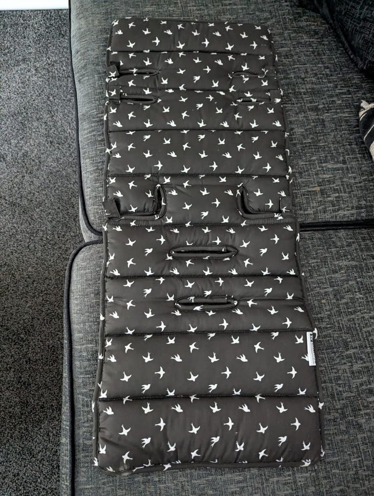 Graco Travel Puschair + Car seat + accessories 