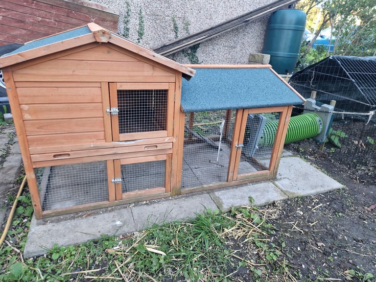 Rabbit hutch guinea pig or chichen chichen coop
