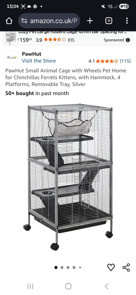 Rat cage 