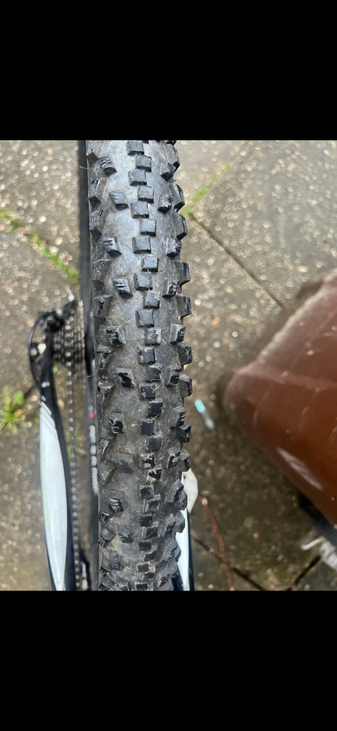 Cannondale Trail