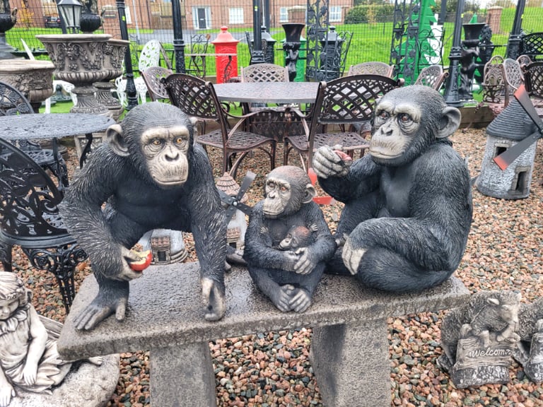 Monkey gumtree top