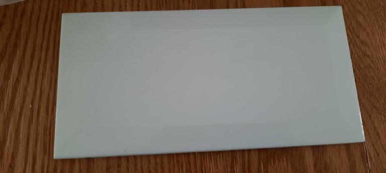 White 20 x 10 cm Tiles