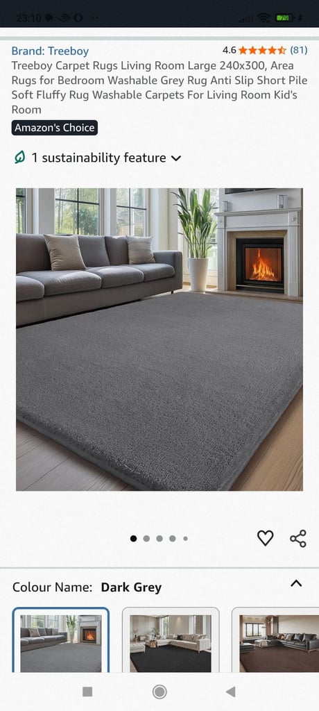 image for Large 300x240 grey rug