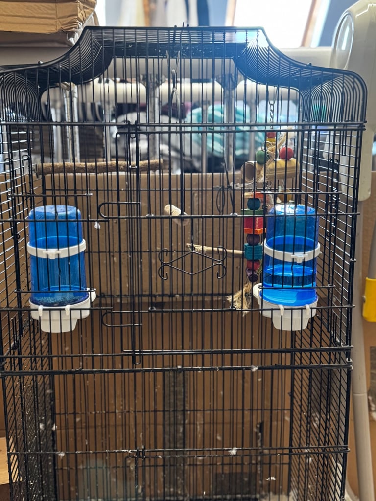 Budgie Cage & Accessories for sale - NO BUDGIE