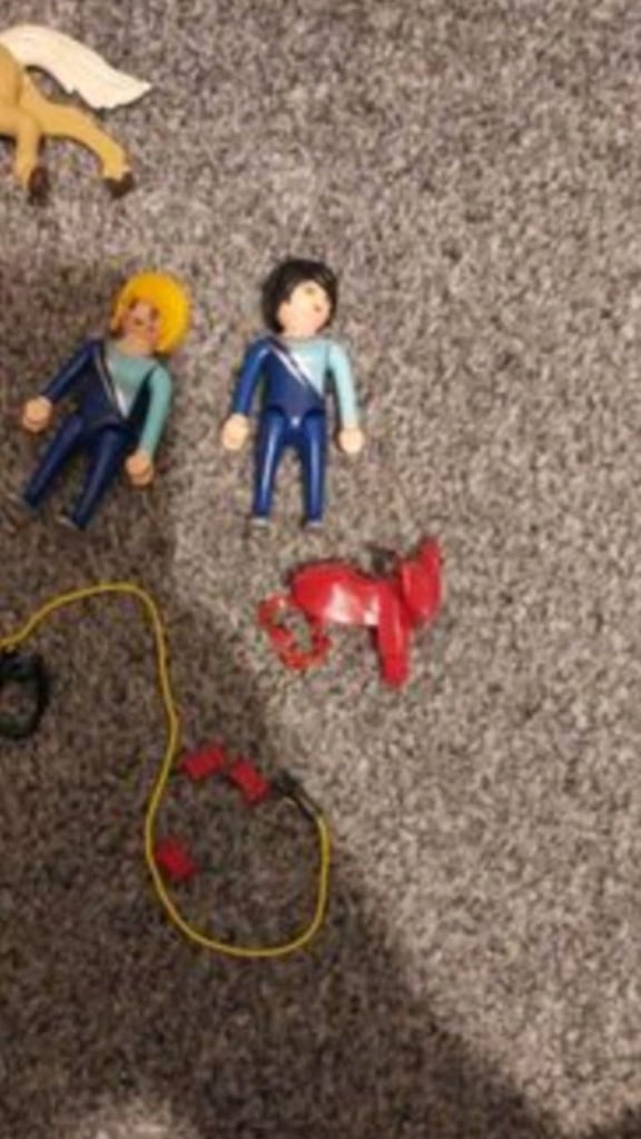 Horse playmobil bundle